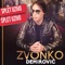 Zvonko Demirovic SPLET Uzivo - Studio Denis Official Music lyrics