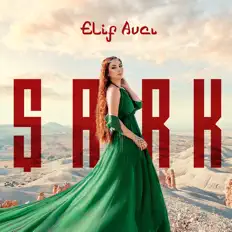 Poslechněte si interpreta Elif Avcı, sledujte hudební videa, přečtěte si životopis, podívejte se na data turné a další informace.