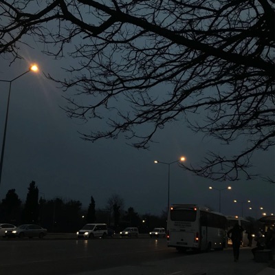 Is This Love? - Single