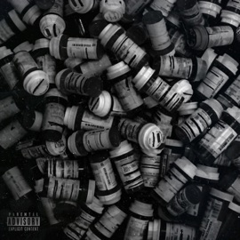 Manic (feat. Greybeard) Gentry Fox