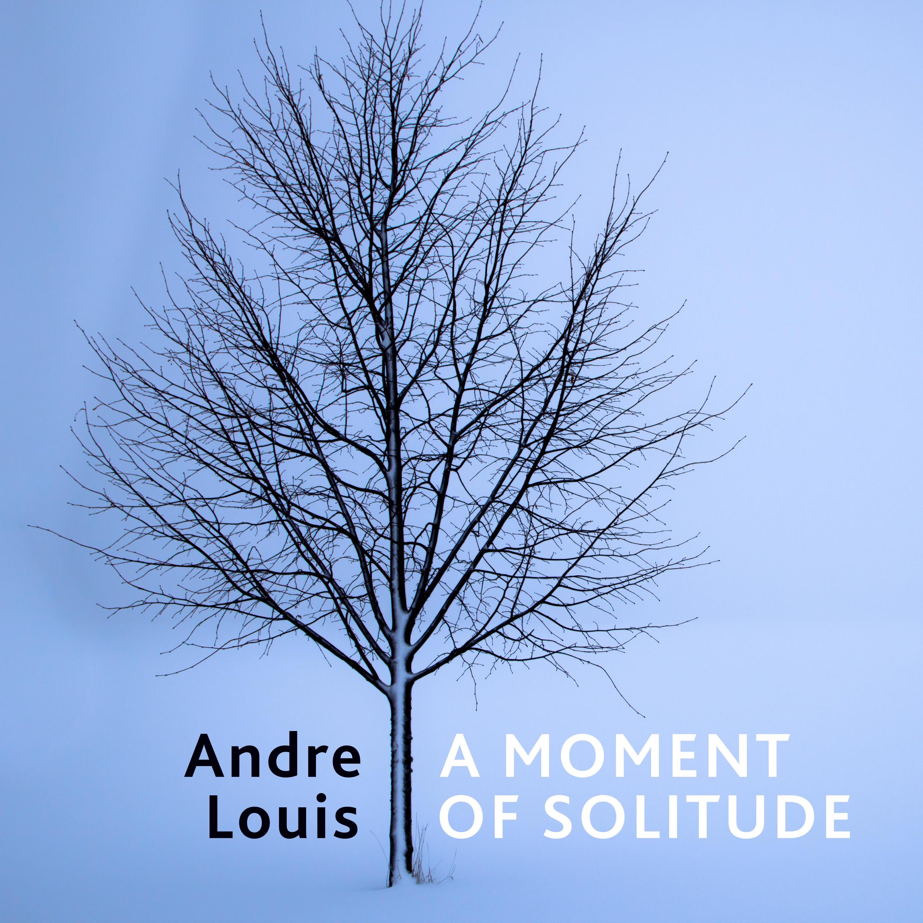 Andre Louis - The Spaces Between Stars