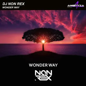 Wonder Way - Single by DJ Non Rex album reviews, ratings, credits