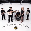 A Puro Dolor - Single