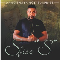 Wang'shaya Nge-Surprise - Sfiso S