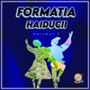 Formatia Haiducii