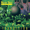 Transition - Walter Trout Band