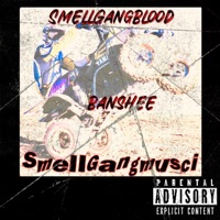 Banshee - Single (feat. Towner blood) - Single - Smellgangblood