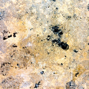 Petrichord - EP