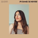 Pe Bawn I'n Rhydd - Single
