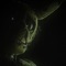 Fnaf Ponk (Spring trap and puppet) - Nixx C lyrics