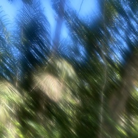 Hold Me Elizy, Skillful & Smash Wagon