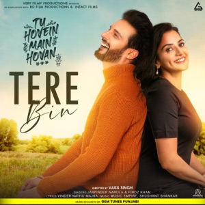 Tere Bin (From 