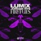Fireflies - LUM!X & Jordan Rys lyrics