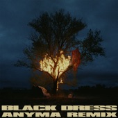 Black Dress (Anyma Remix) artwork