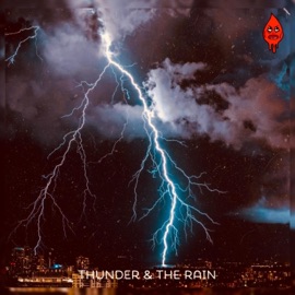 Midnight Smoke Wave Cvrter