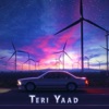 Teri Yaad - Single