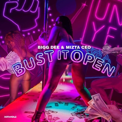 Bust It Open - Single