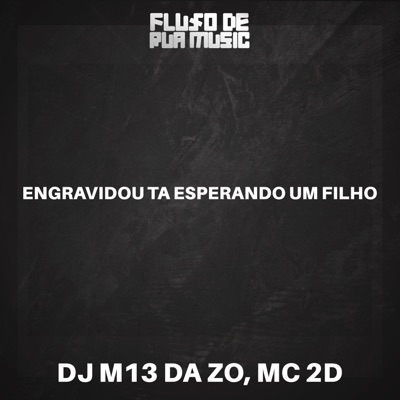 Engravidou Tá Esperando um Filho - Single