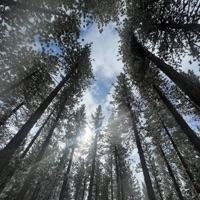 2 Am - Single - x$ept