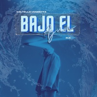 Bajo el Agua (feat. Zlg) - Single - Coltello Vendetta