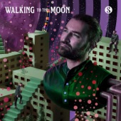 Walking to the Moon artwork
