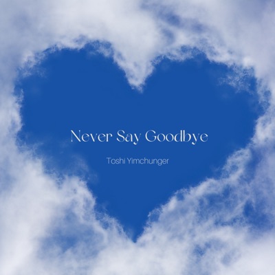 Never Say Goodbye - Single