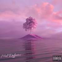 Mil Defeitos - Single - CaixaDois & Geky