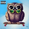 Skateboard Owl Remix (40DollarGram$ Remix) - Single