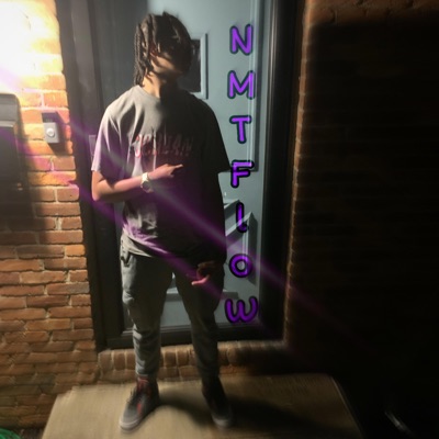 NMT Flow - Single