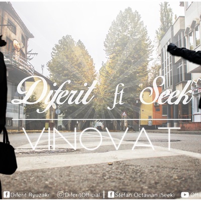 Vinovat (feat. Seek) - Single