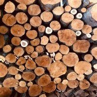 Good Morning !N Love - Single - ill9buddah