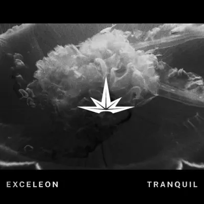 Listen to Tranquil - Single by Exceleon