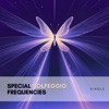 Special Solfeggio Frequencies - Single