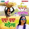 Chubhur Chubhur Gadela - Single