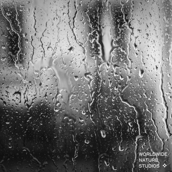 Rain Sounds (Vol. 3) - EP