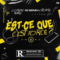 EST-CE QUE C'EST FORCÉ ? - Single - L'Oiseau Rare