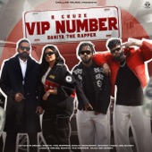 VIP Number artwork