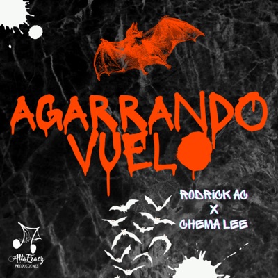 Agarrando Vuelo (feat. Chema Lee) - Single