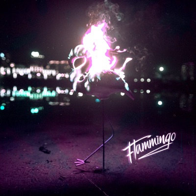 Flammingo - Single
