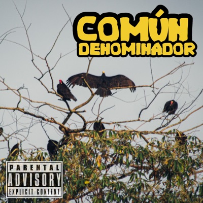 Común Denominador (feat. Ninguno) - Single