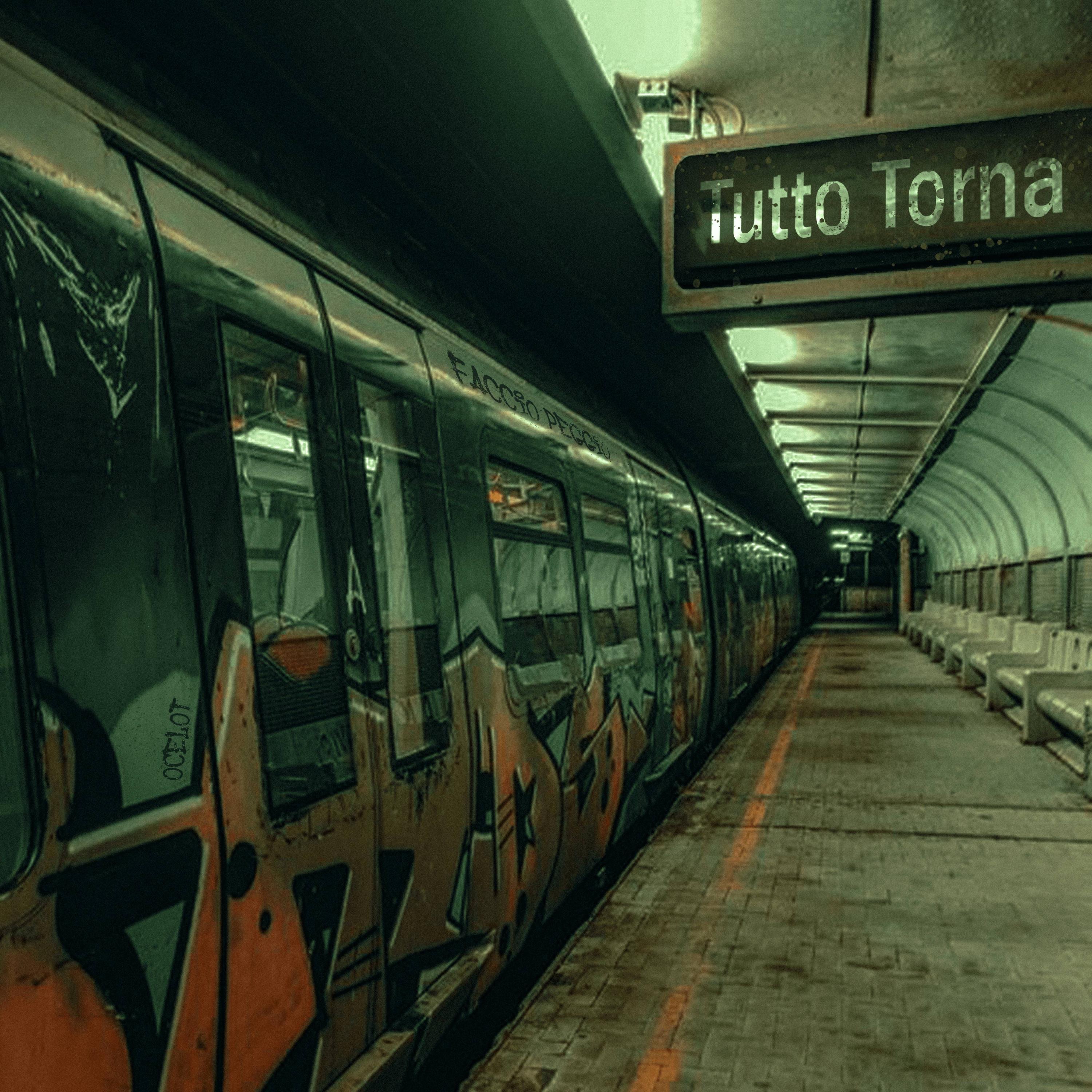 Ocelot - Tutto Torna