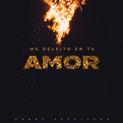 Me Deleitó En Tu Amor - Single