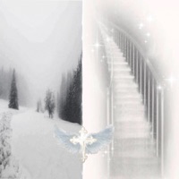 Kivranin Acinizda - Single - SHAGGYX999 & ferik