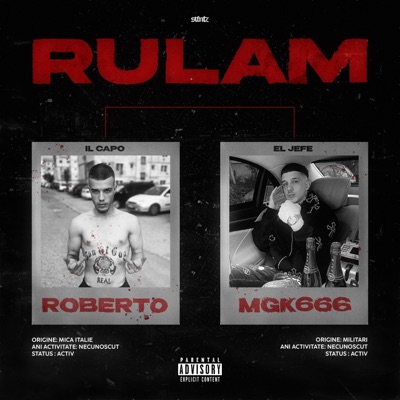 RULAM (feat. Mgk666) - Single