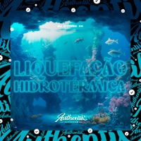 Liquefação Hidrotérmica - Single - Dj Vitinho Zn