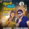 Vahali Mari Vihatmaa - Single