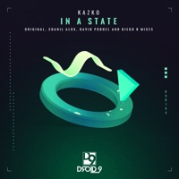 In a State (Diego R Remix) - Single - Kazko