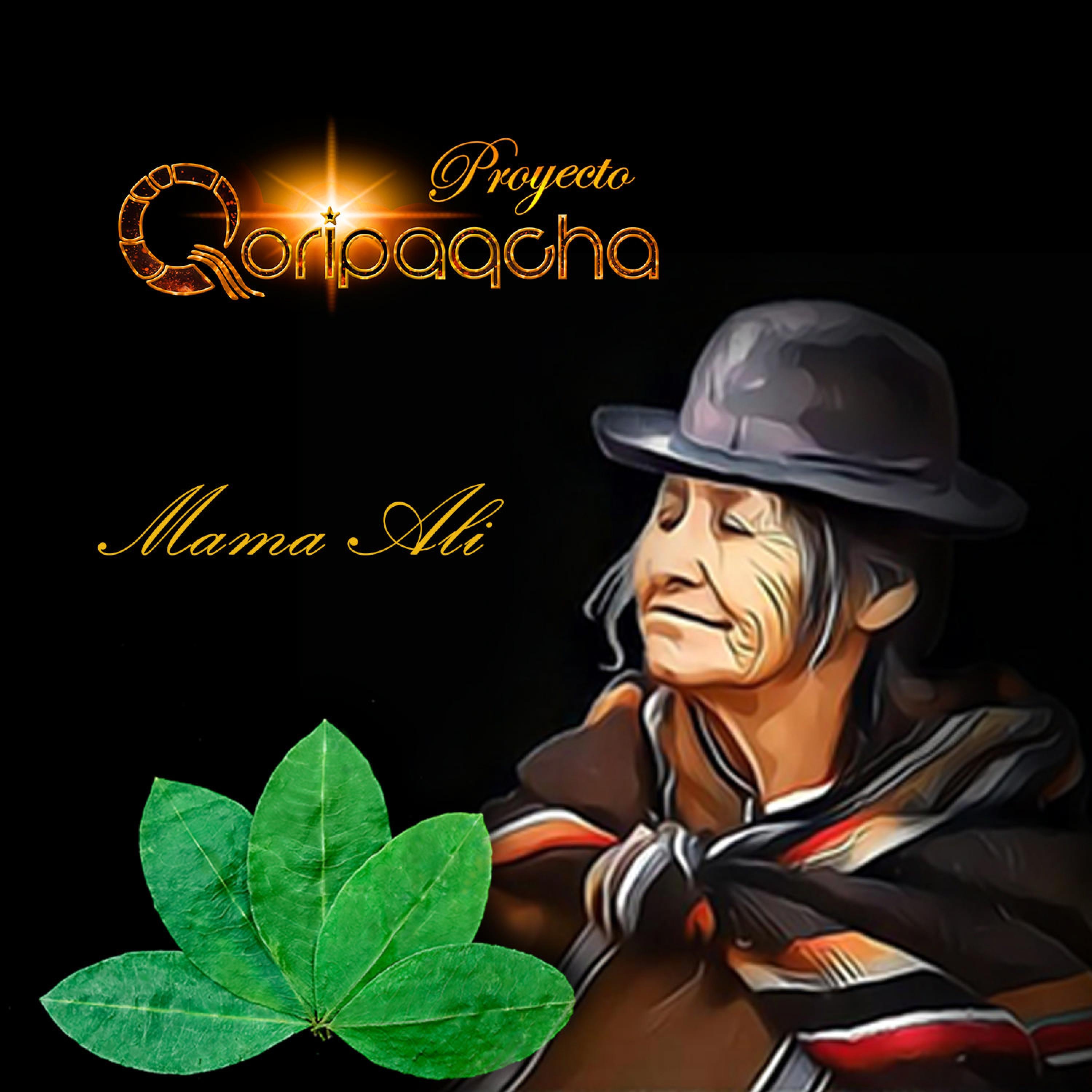 Proyecto Qoripaqcha - Aviaykuy