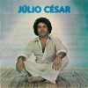 Júlio César 1978