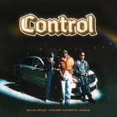 Control (feat. Black Vision) artwork